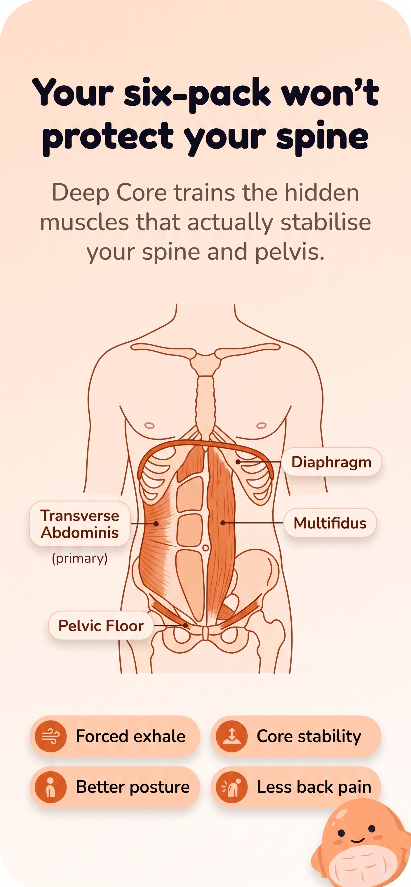 Anatomical diagram of the four deep-core muscles: transverse abdominis, diaphragm, multifidus and pelvic floor